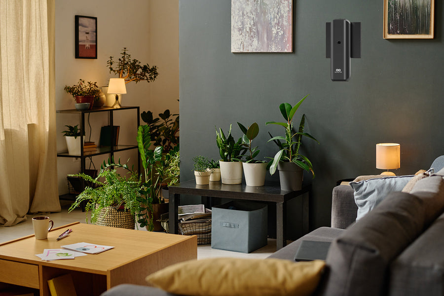 Scents 2025: Your Luxury Home with Scents 305