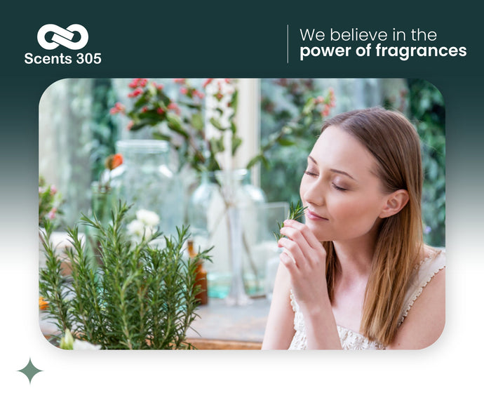 Scents 305 Diffusers: Goodbye Candles, Hello Wellness